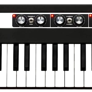1yamaharefacecp.jpg