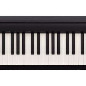 2rolandfp10bk.jpg