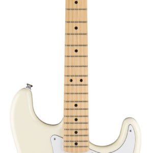 fmic0266220505.jpg