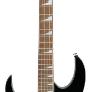 hoshinogrg170dxlbkn.jpg