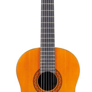yamahagc40ii.jpg