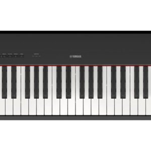 yamahap225b.jpg
